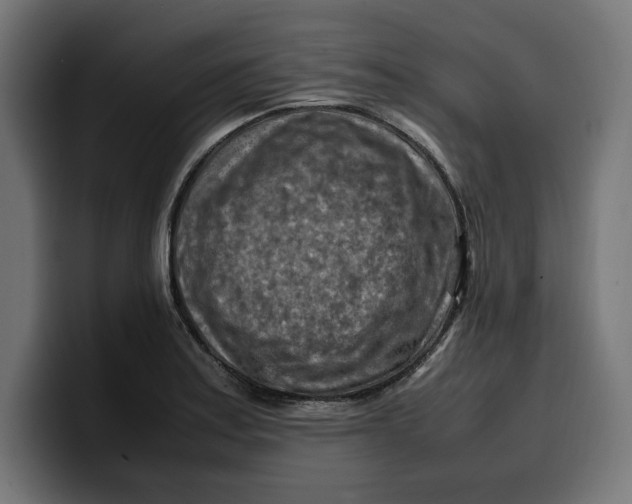 X0000099981179200806131353