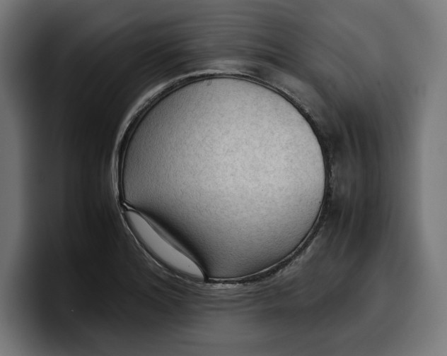 X0000099981180200806131353