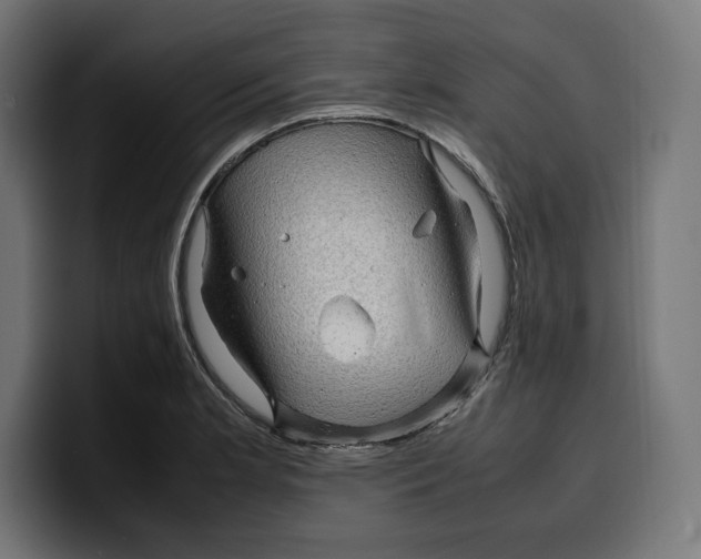 X0000099981181200806131353