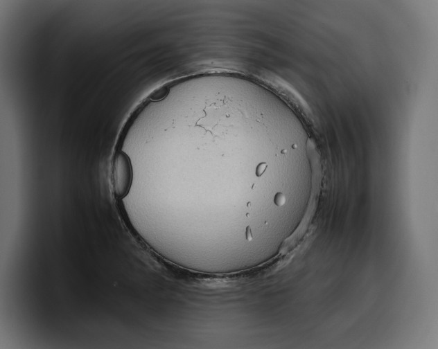 X0000099981182200806131353