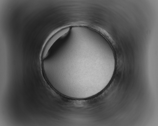 X0000099981184200806131353