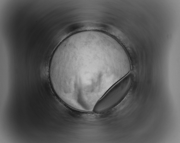 X0000099981185200806131353