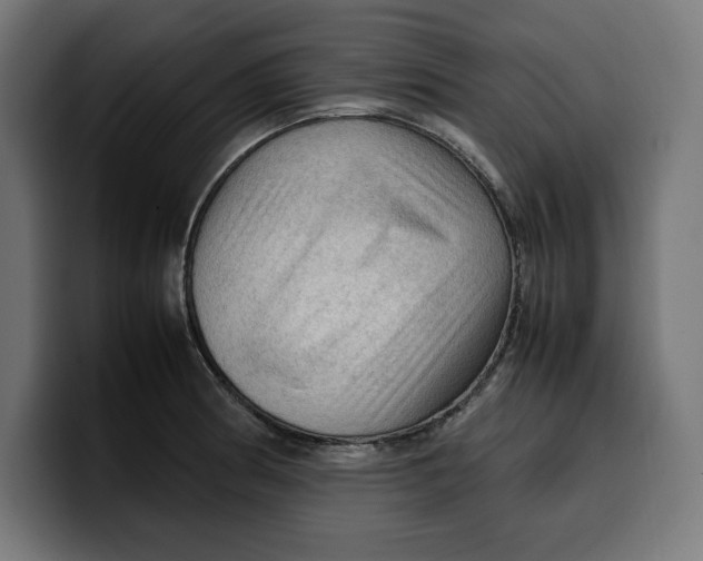 X0000099981186200806131353