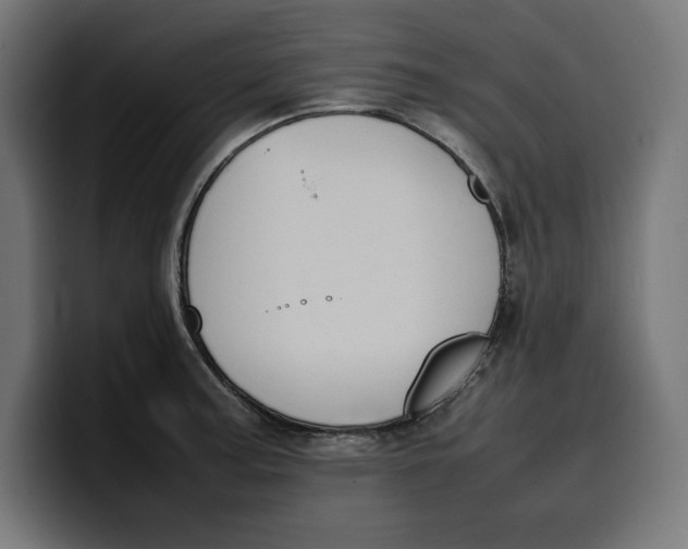 X0000099981187200806131353