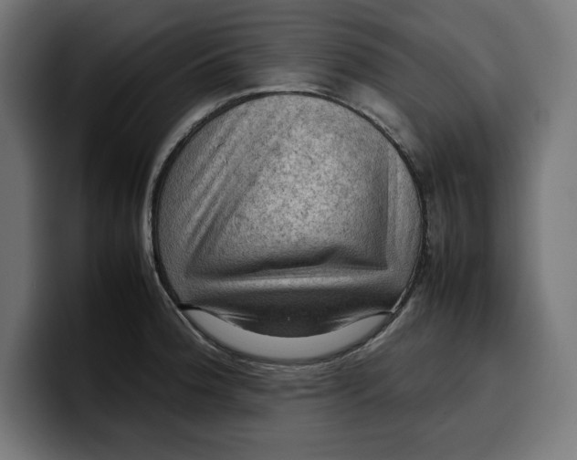 X0000099981188200806131353