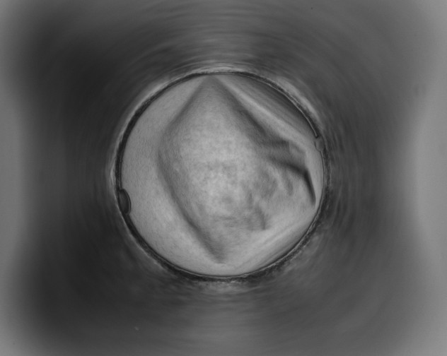 X0000099981189200806131353