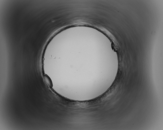 X0000099981191200806131353