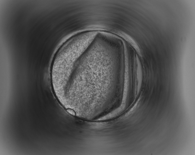 X0000099981192200806131353