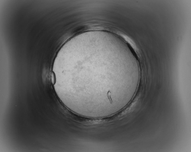 X0000099981193200806131353