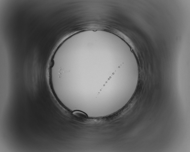 X0000099981195200806131353