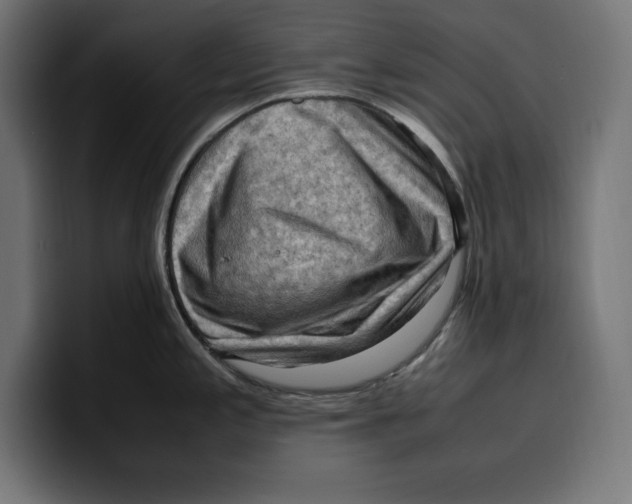 X0000099981197200806131353