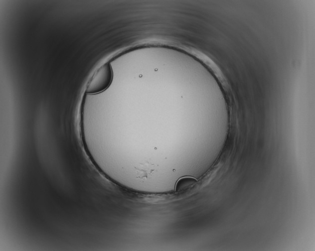 X0000099981199200806131353