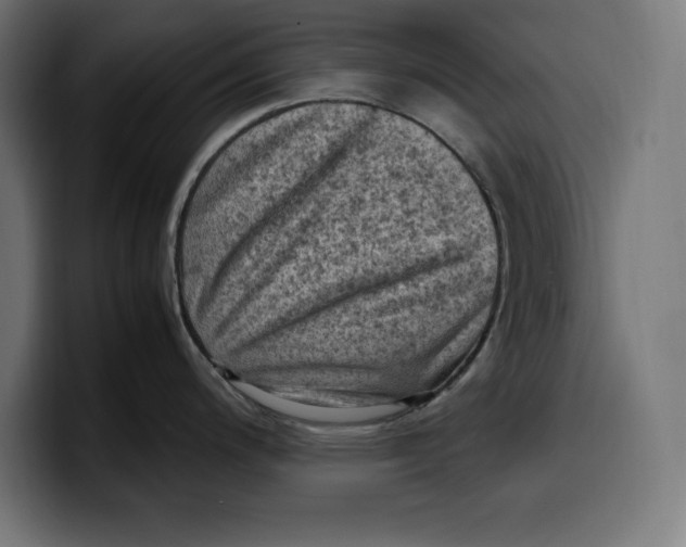 X0000099981200200806131353