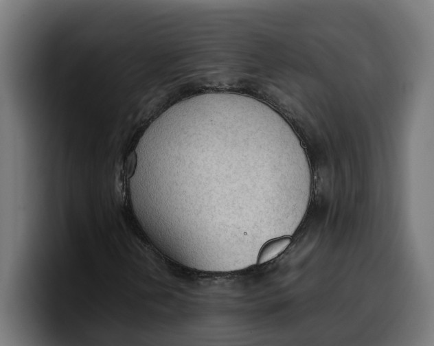 X0000099981202200806131352