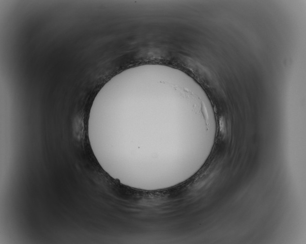 X0000099981203200806131352