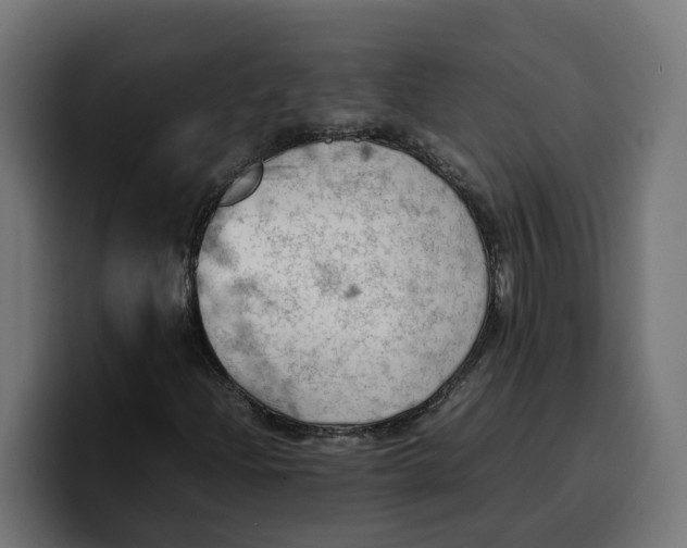 X0000099981204200806131352