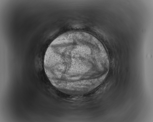 X0000099981205200806131352