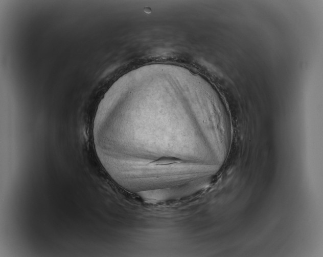 X0000099981206200806131352