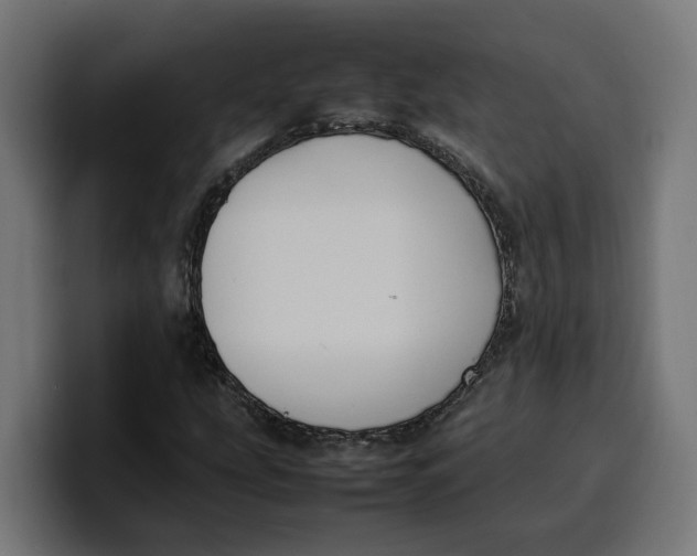 X0000099981207200806131352