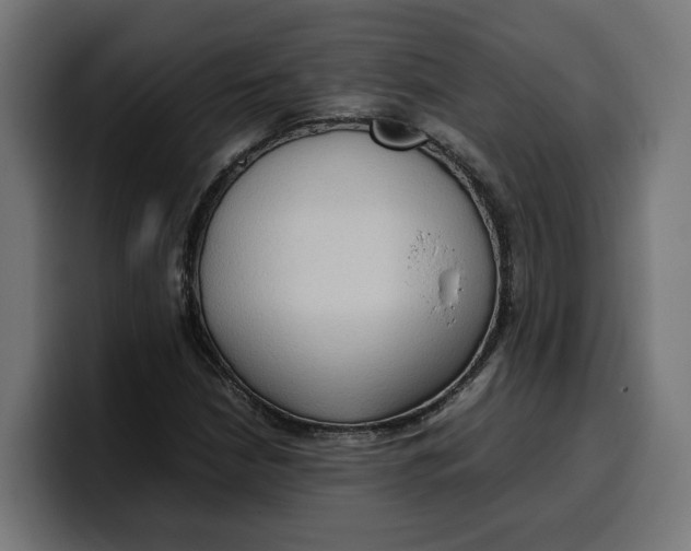 X0000099981210200806131352