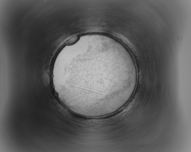 X0000099981212200806131352