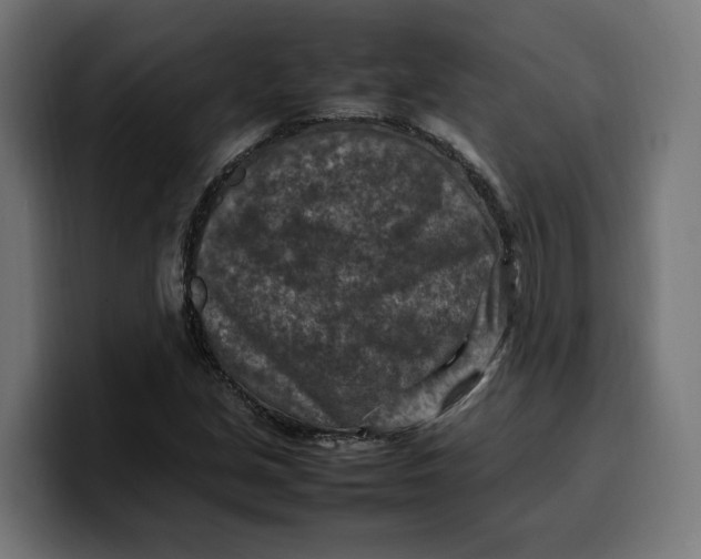 X0000099981213200806131352