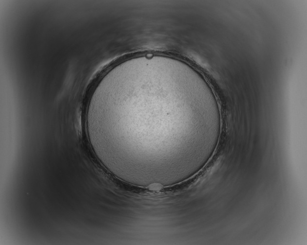 X0000099981214200806131352