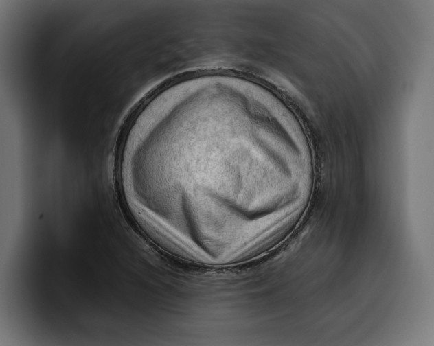 X0000099981216200806131352