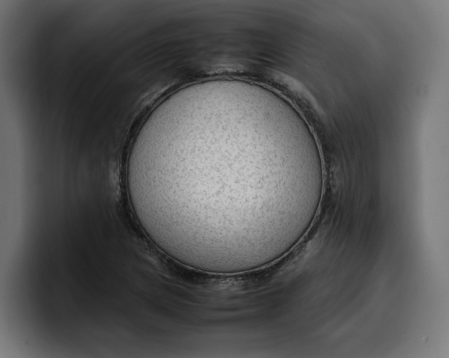 X0000099981217200806131352