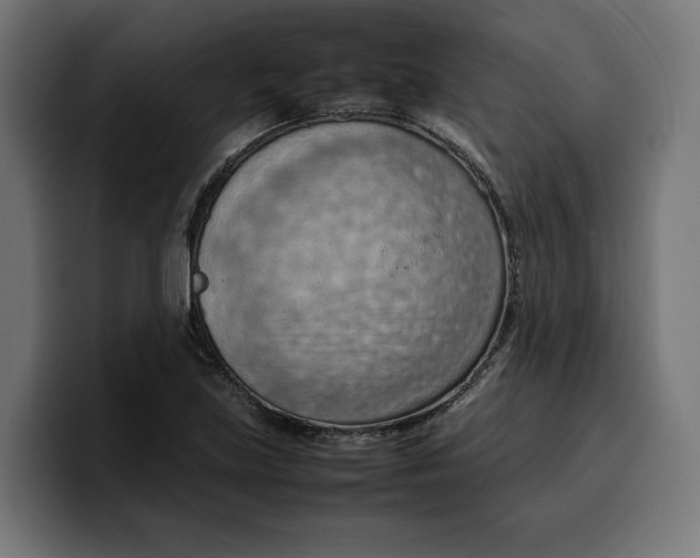 X0000099981219200806131352