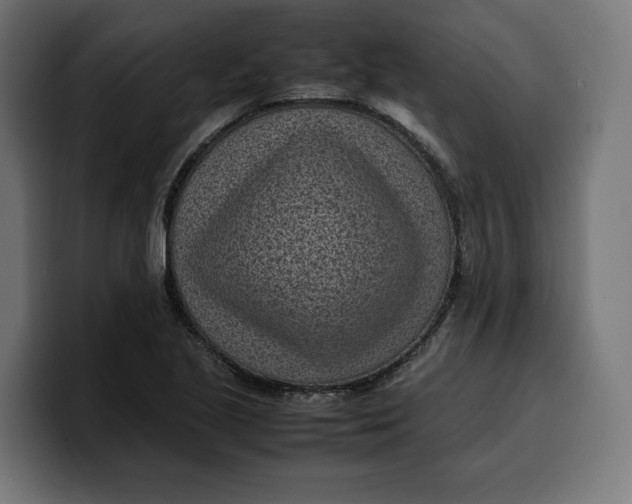 X0000099981221200806131352