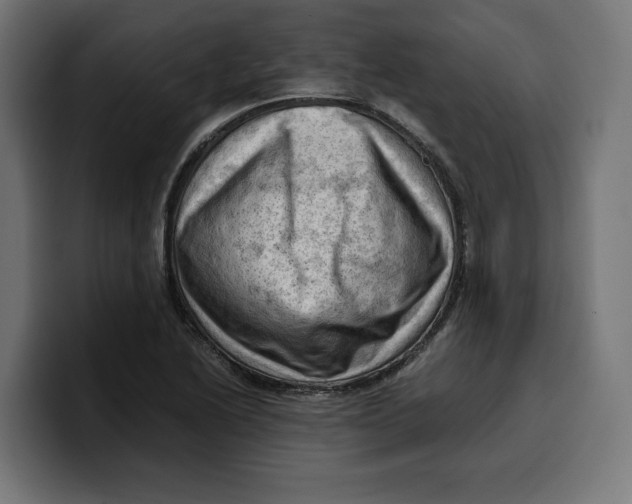 X0000099981222200806131352