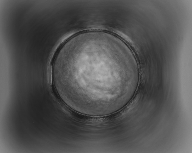 X0000099981223200806131352