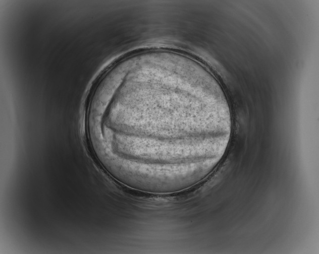 X0000099981224200806131352