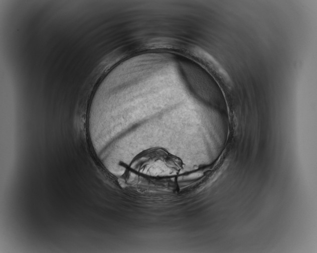 X0000099981225200806131352