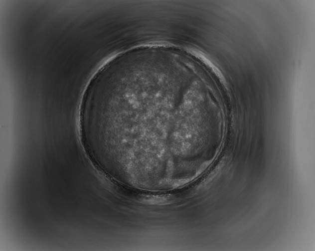 X0000099981229200806131352