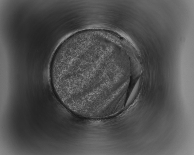 X0000099981230200806131352