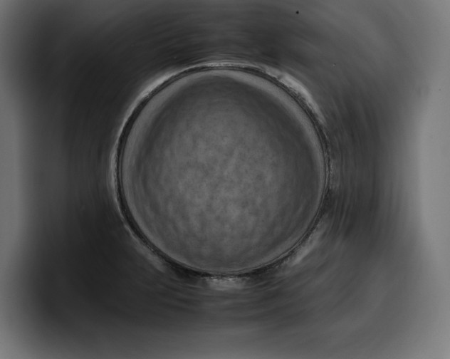 X0000099981231200806131352