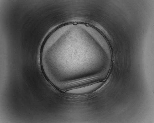 X0000099981232200806131352