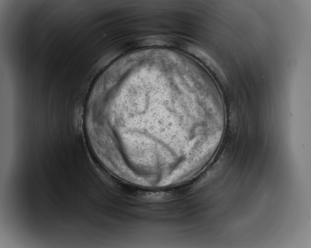 X0000099981233200806131352