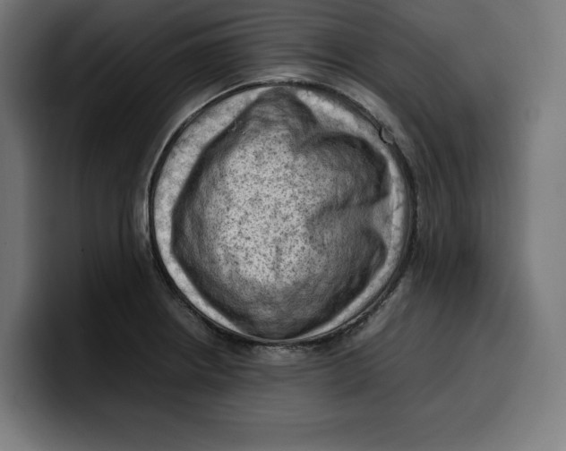 X0000099981234200806131352