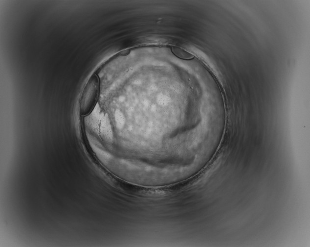 X0000099981235200806131352