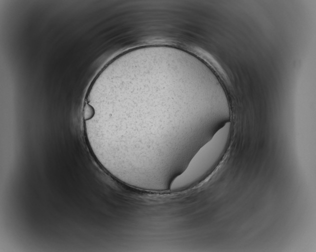 X0000099981236200806131352