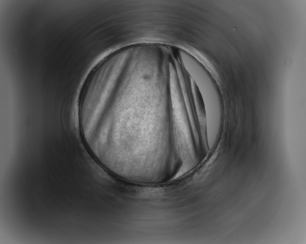 X0000099981238200806131352