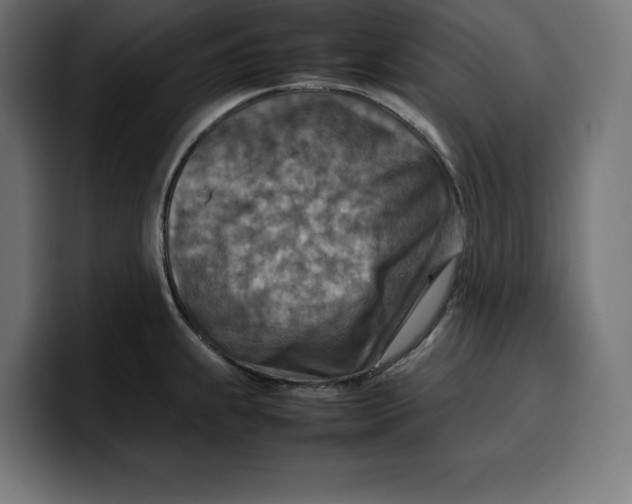 X0000099981239200806131353