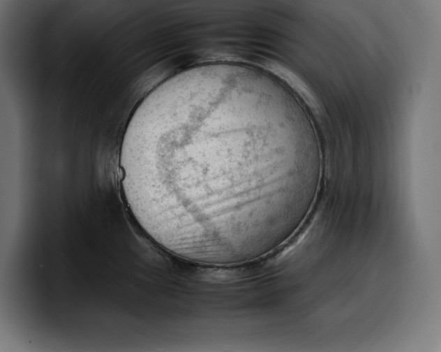 X0000099981241200806131353