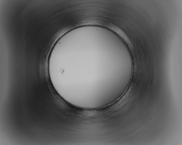 X0000099981242200806131353