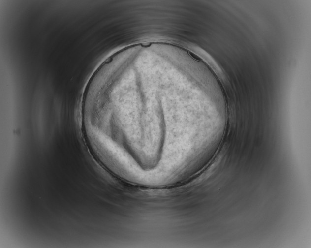 X0000099981244200806131353