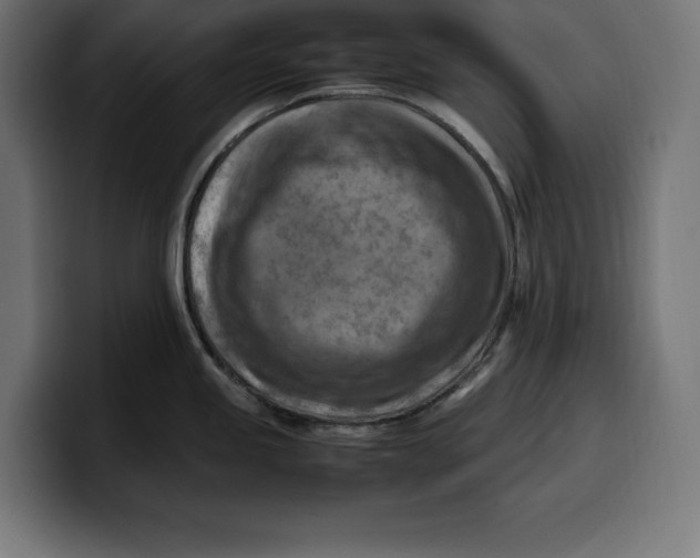 X0000099981245200806131353