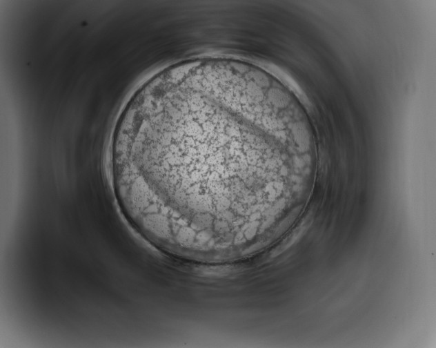 X0000099981247200806131353